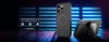 Stealth Series Case for Apple iPhone 14