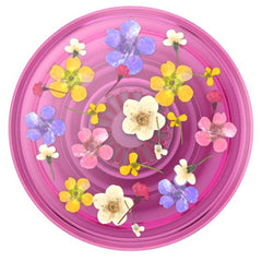 PopSockets PopGrip - Translucent Pink Ditsy Floral - MyBat Pro